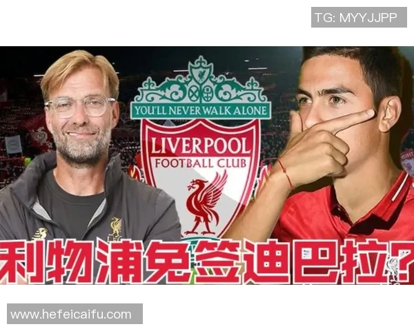 足球免签新规解读球员流动性提升对联赛的影响分析