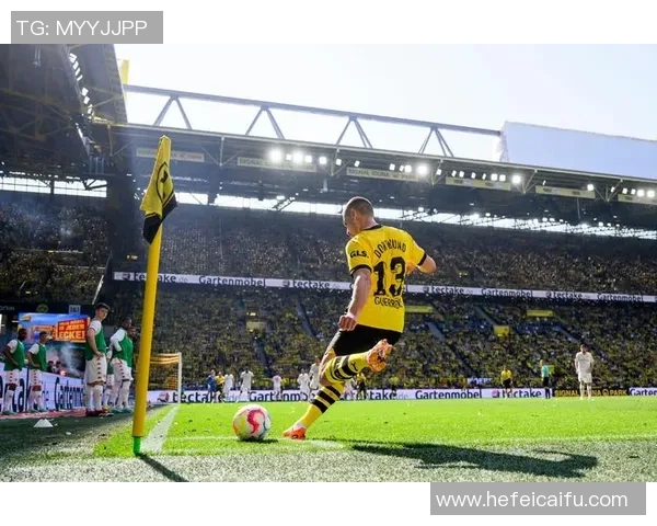 拉斐尔足球：探索足球世界的魅力与激情，点燃年轻人的运动梦想